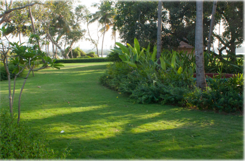 Nitesh Wellness Resort – Goa