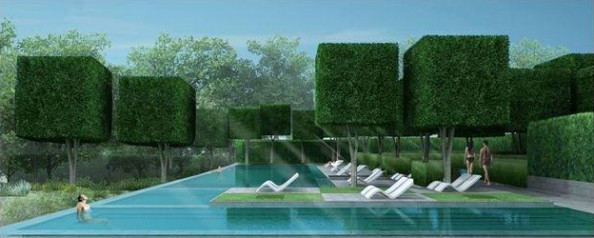 Swimming Pool at Nitesh Napa Valley